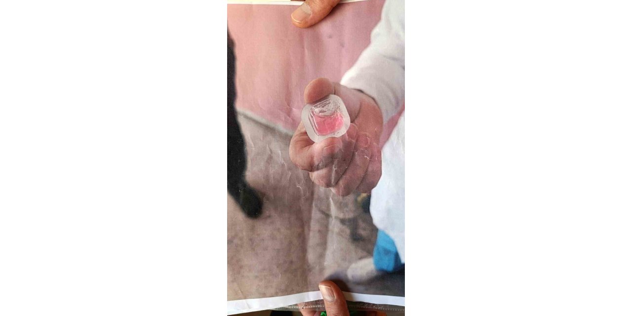 Diyarbakır'da kapı kapı gezip fotoğraf göstererek tehlikeye dikkat çektiler