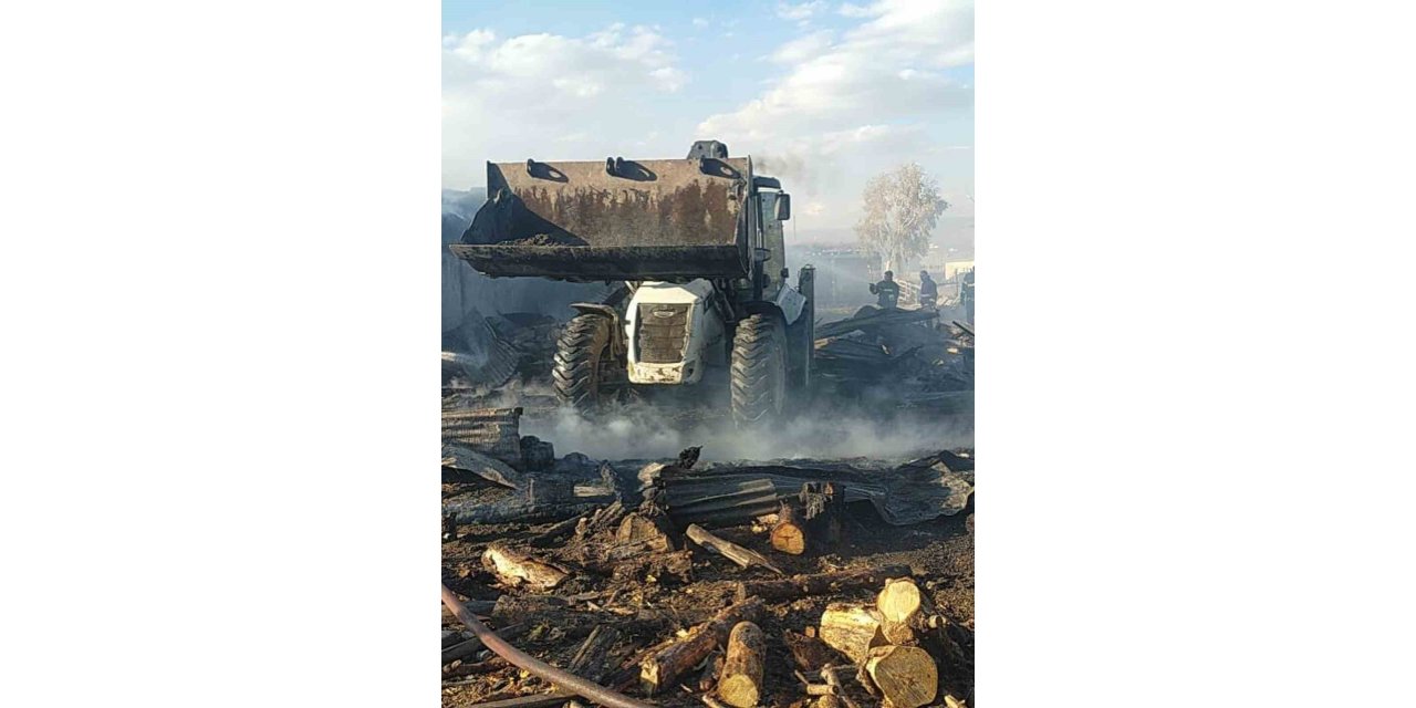 Ardahan'da ahır yangınında 15 küçük ve 8 büyükbaş hayvan telef oldu