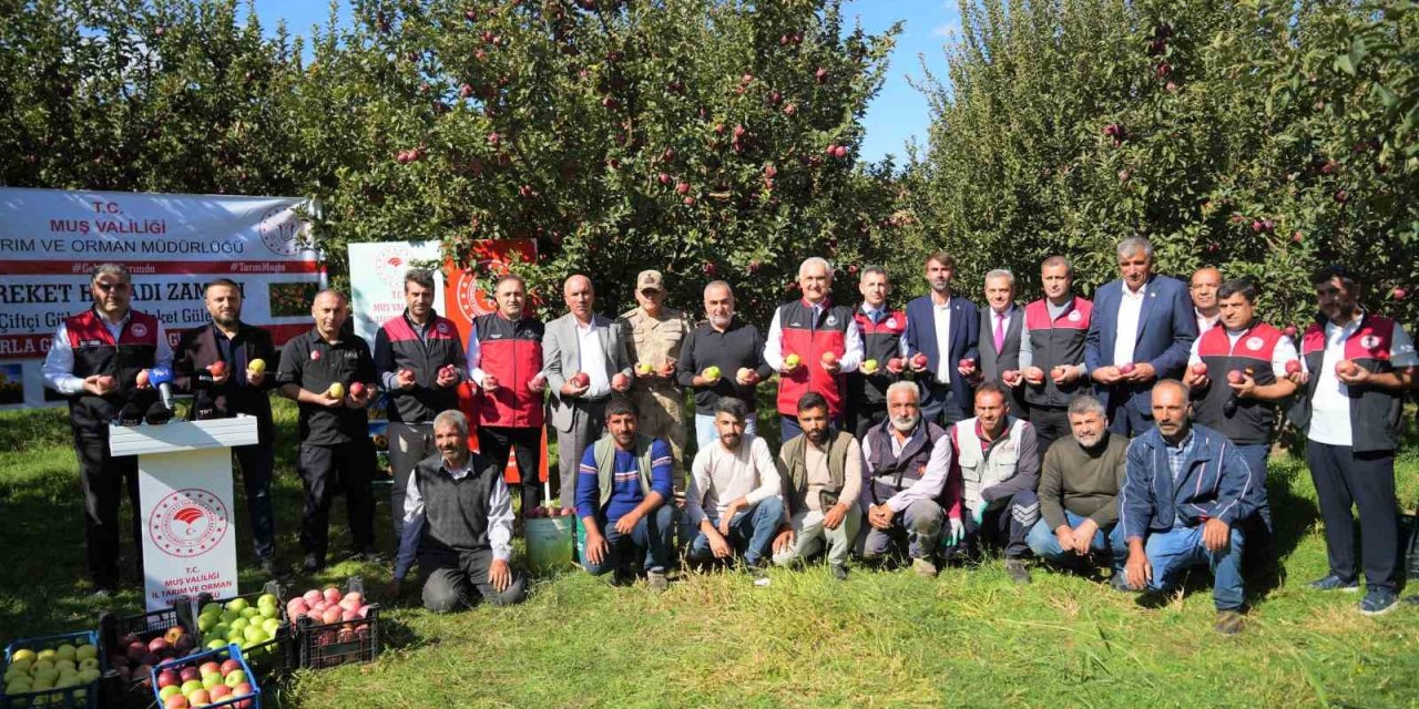 Elma hasadından 100 milyon liralık gelir bekleniyor