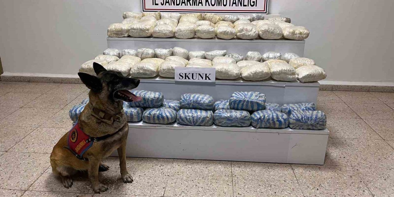 Başkale'de 47 kilo skunk ele geçirildi