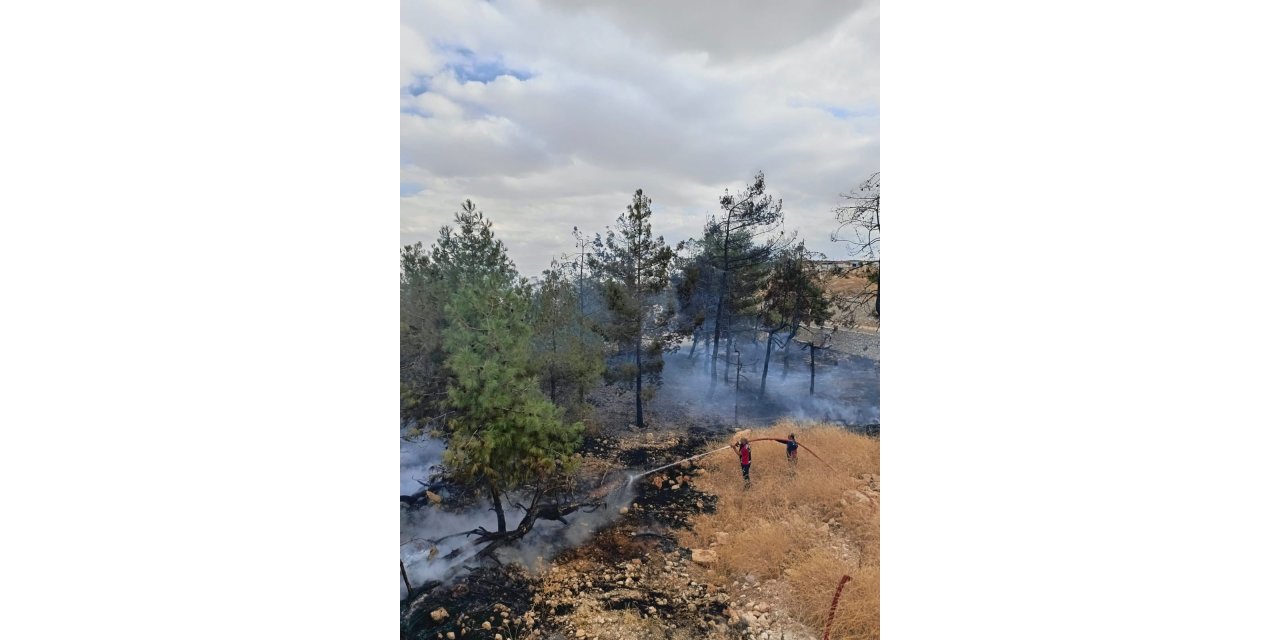 Adıyaman'da fabrikanın ağaçlık alanında çıkan yangın korkuttu
