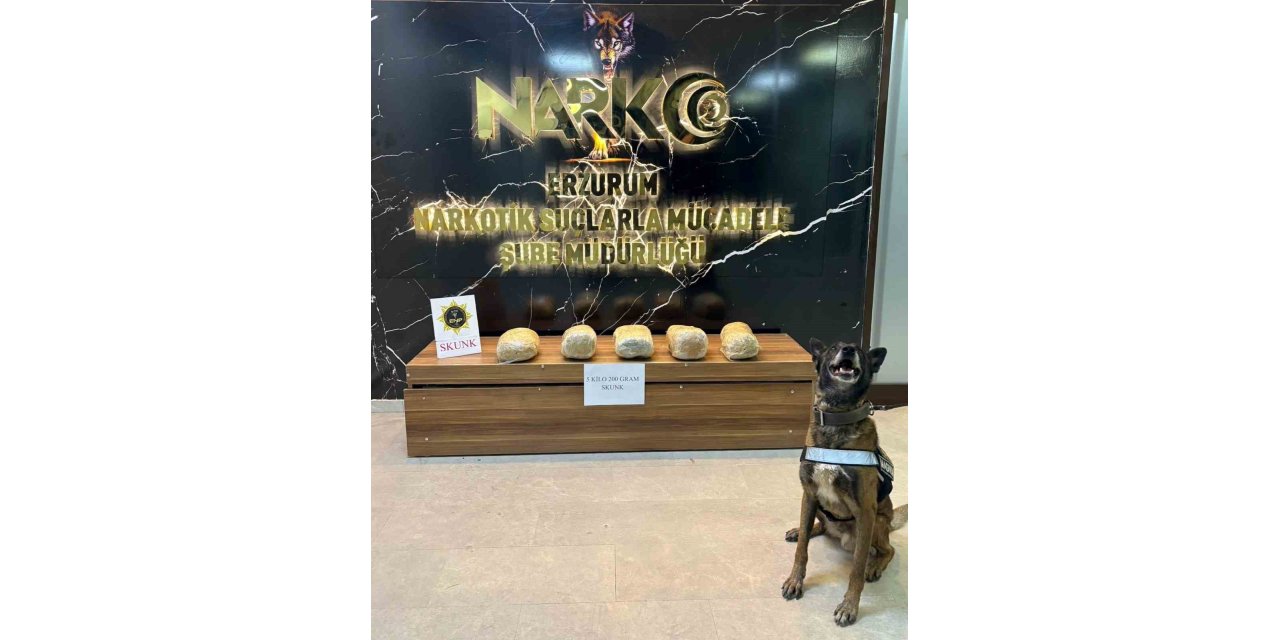 Erzurum’da 5 kilo 200 gram skunk maddesi yakalandı