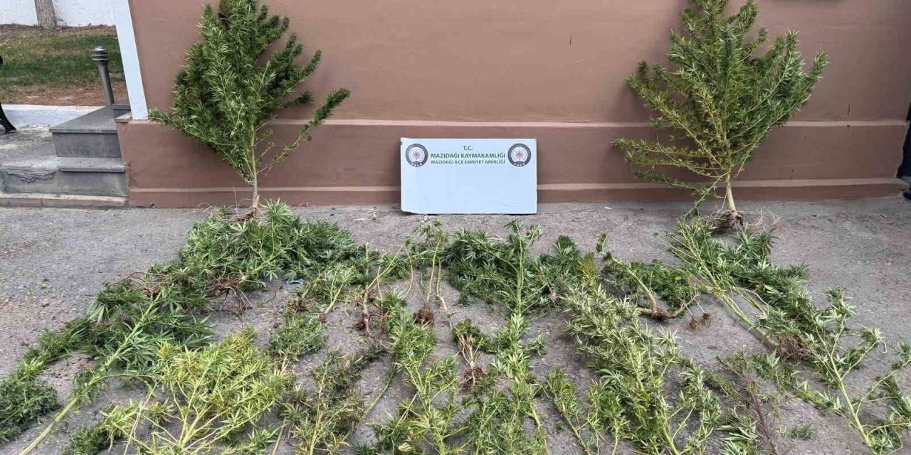 Mardin’de uyuşturucu operasyonu: 3 kişi gözaltına alındı