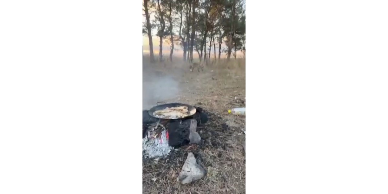 Kars’ta tilkiler yerleşim yerine indi