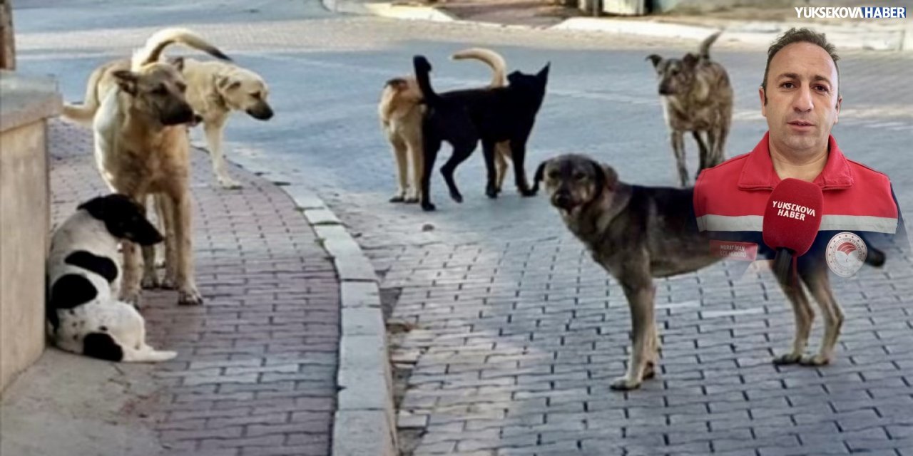 Yüksekova Tarım Müdürü İnan’dan köpek sahiplerine uyarı: “Kayıt yaptırmayanlara ceza uygulanacak”
