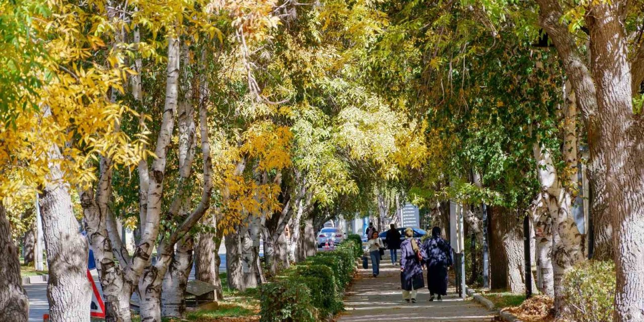 Meteorolojiden Erzurum için kuvvetli rüzgar ve kar uyarısı