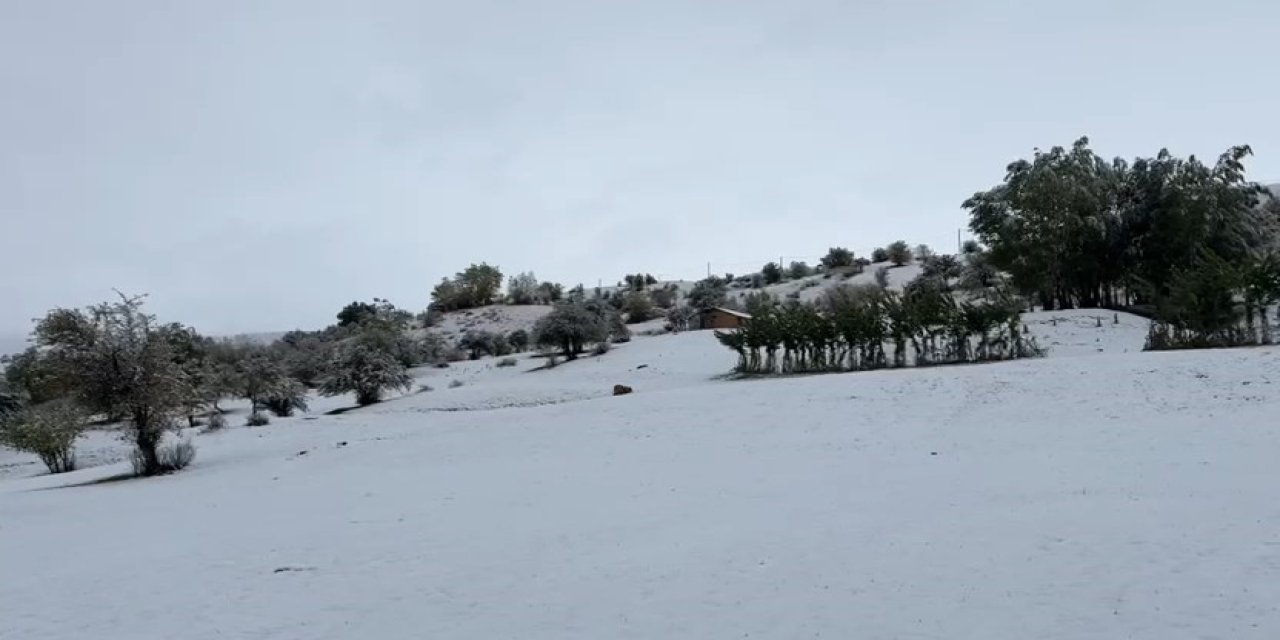 Bingöl’de mevsimin ilk karı yağdı