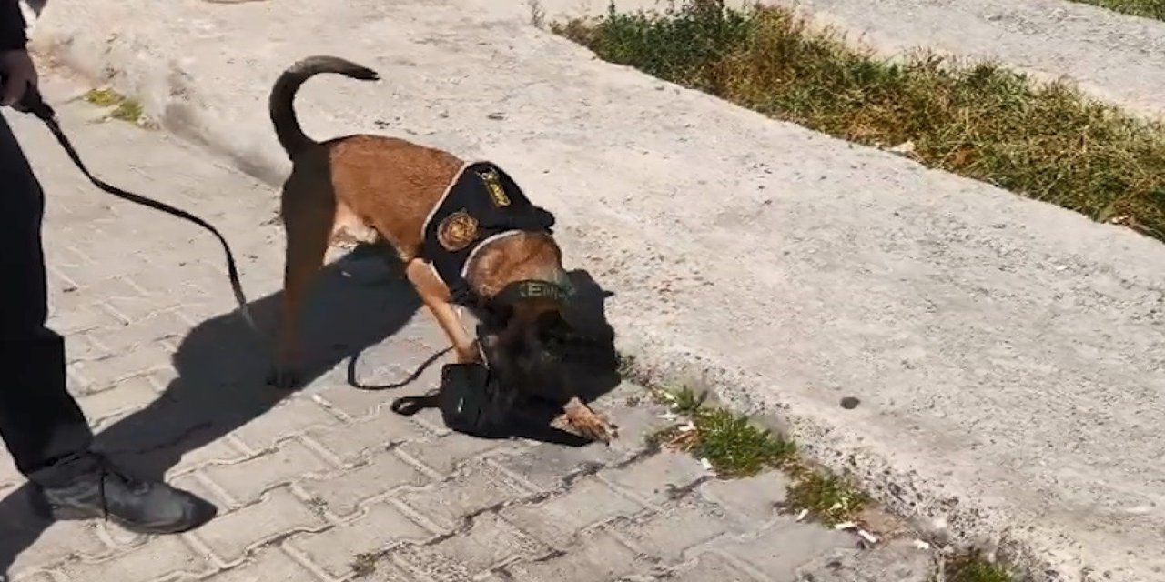 Bitlis’te uyuşturucu operasyonu: 5 şahıs tutuklandı