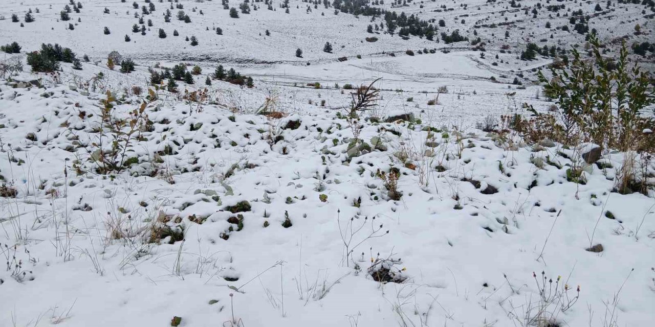 Posof’ta kar yağdı