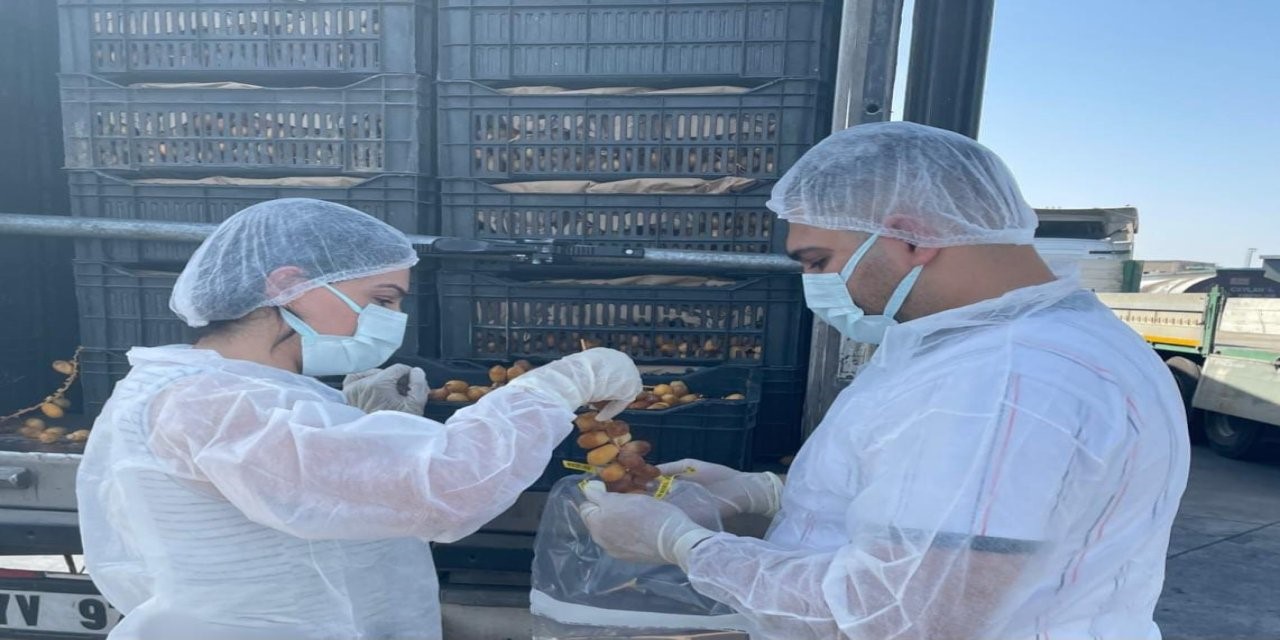 Habur'da taze hurma ithalatına sıkı denetim