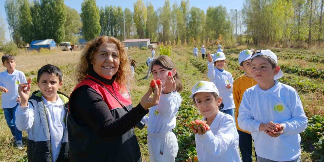 Muş’ta "kooperatifçilik" temalı tarım kampı yapıldı