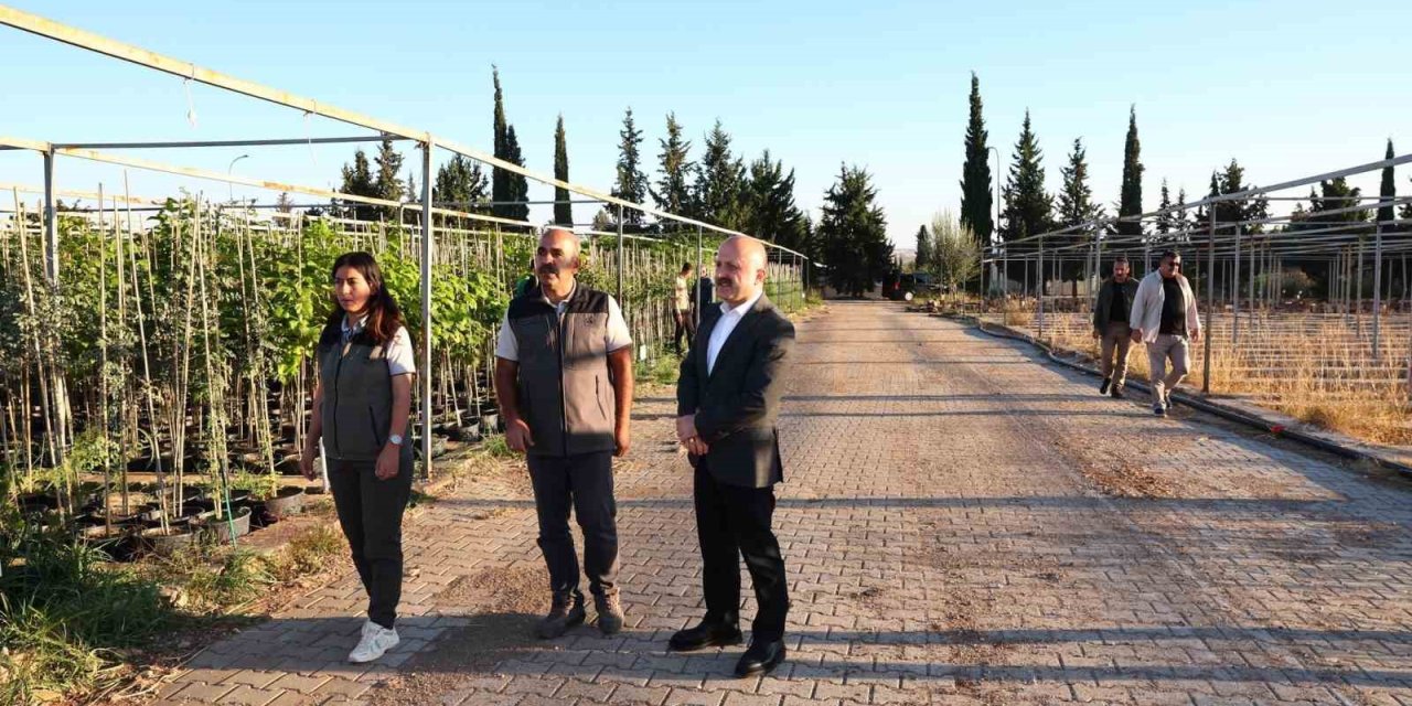 Vali Varol, orman fidanlığında inceleme yaptı