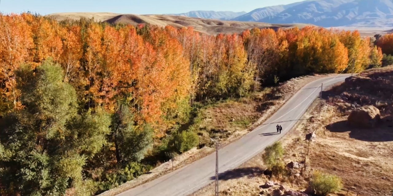 Yüksekova’da sonbahar manzarası büyülüyor