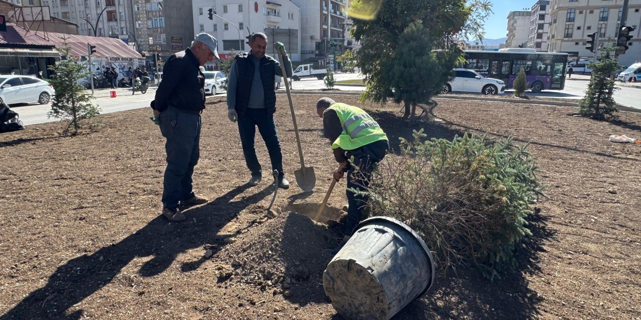 Yüksekova’da kuruyan fidanların yerine yeni peyzaj düzenlemesi