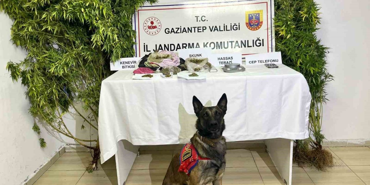 Gaziantep’te uyuşturucu operasyonu: 2 kişi tutuklandı