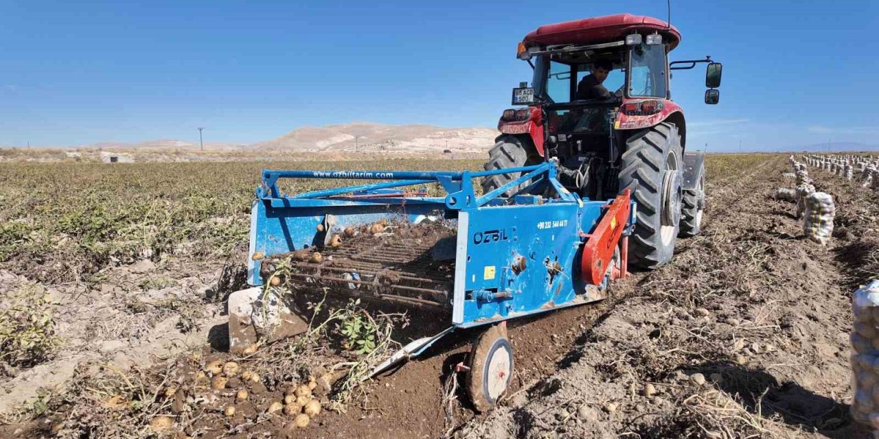 Erciş’te patates hasadı başladı
