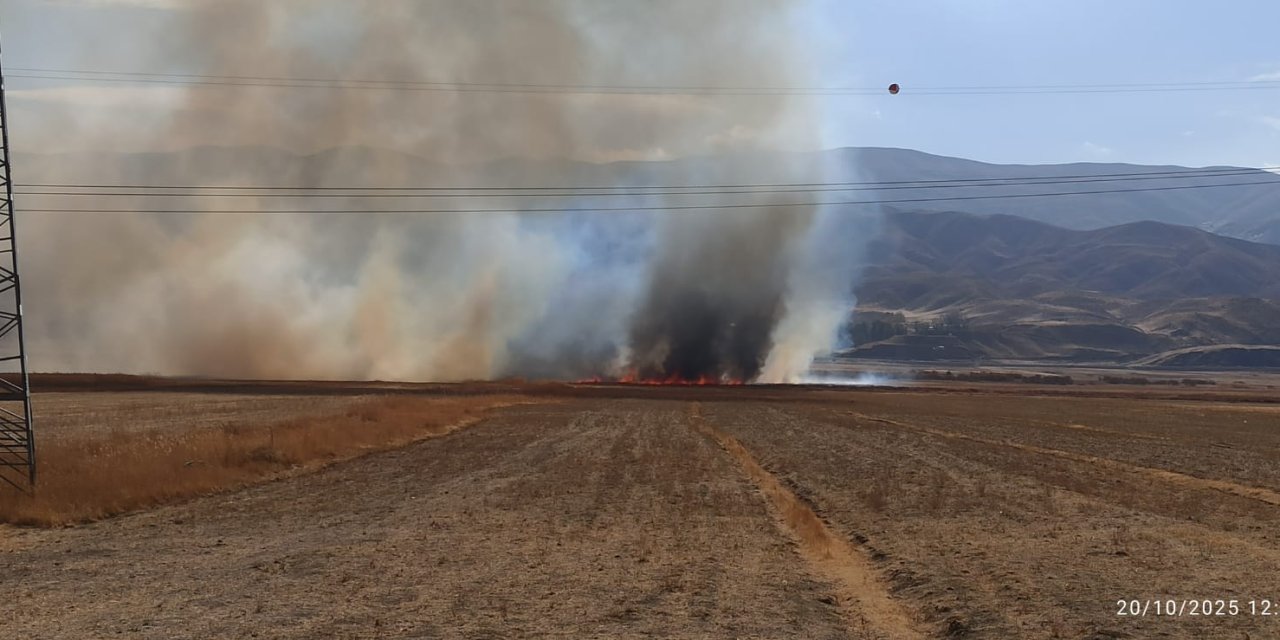 Yüksekova’da anız yangını çıktı