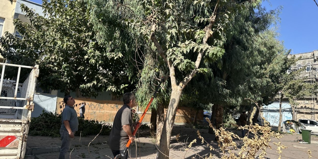 Eyyübiye’deki parklarda sonbahar bakımı yapıldı