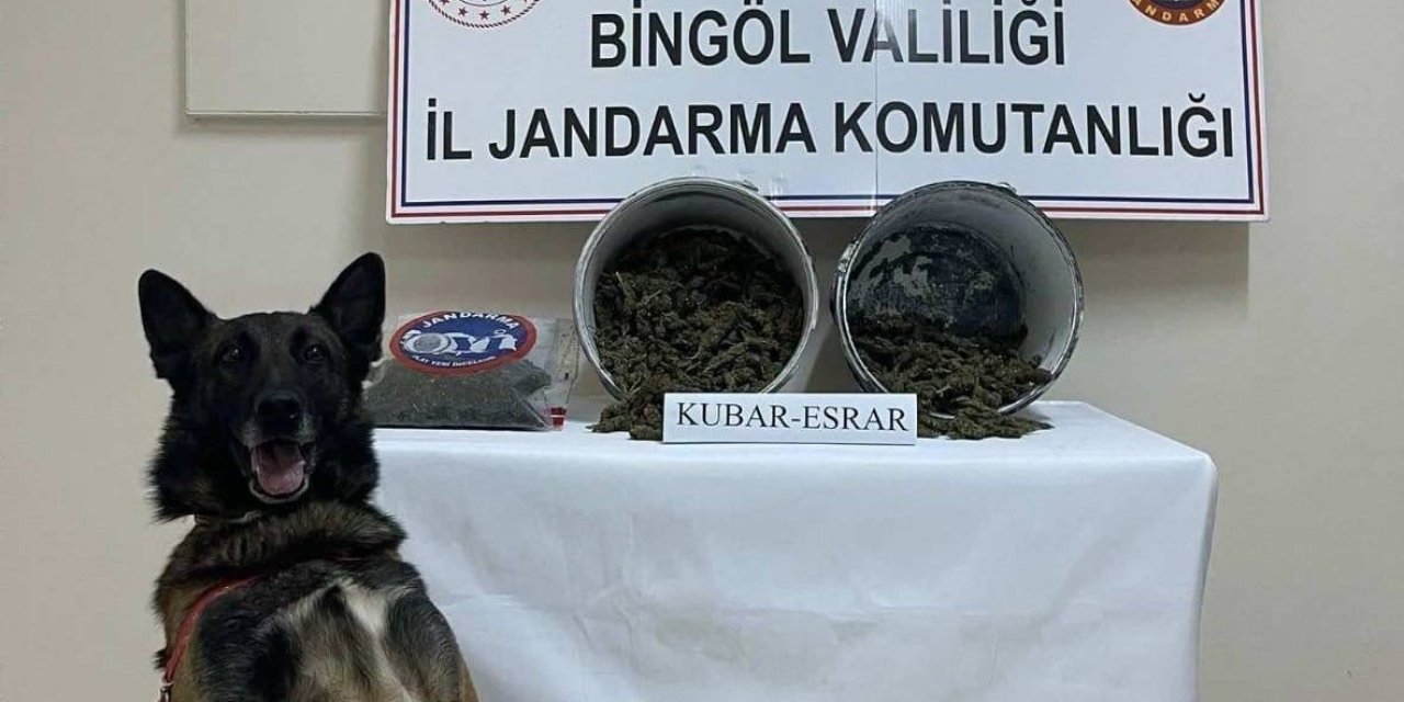 Bingöl’de 2 kilo esrar ele geçirildi