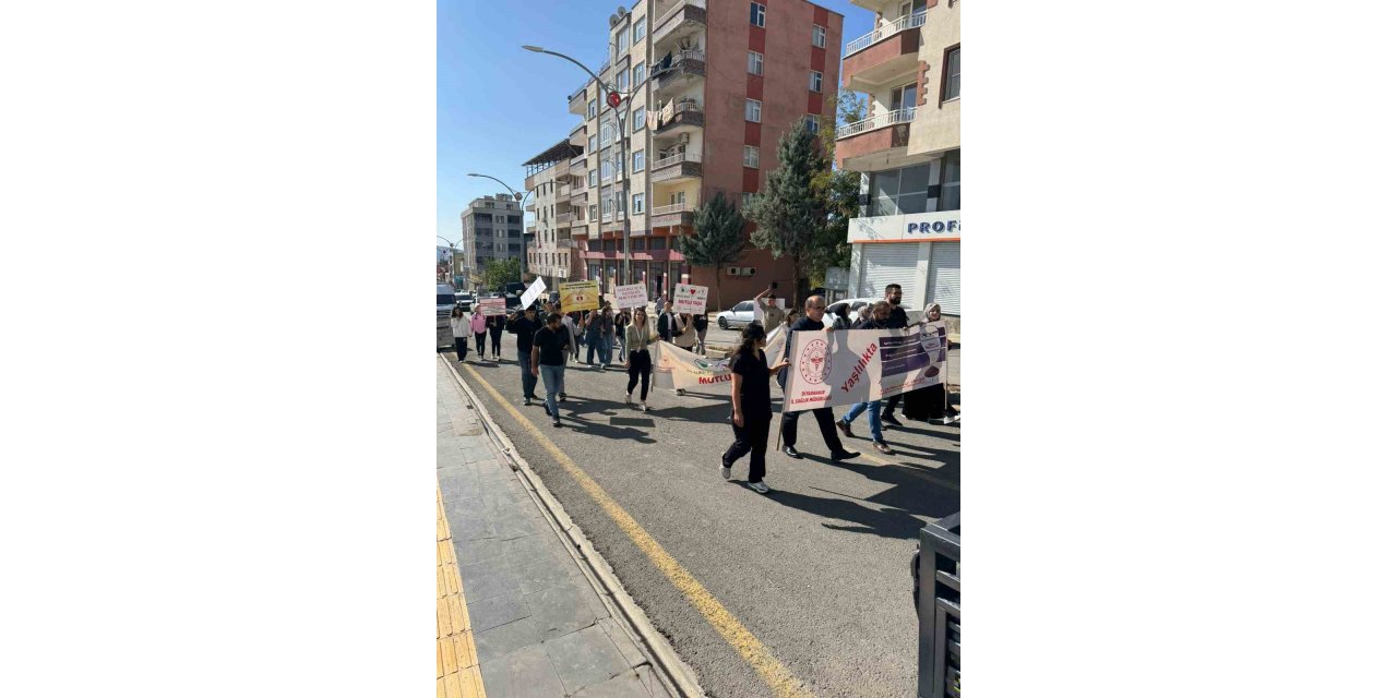 Dicle’de sağlıkçılardan Dünya Yaşlılar ve Yürüyüş Günü etkinliği