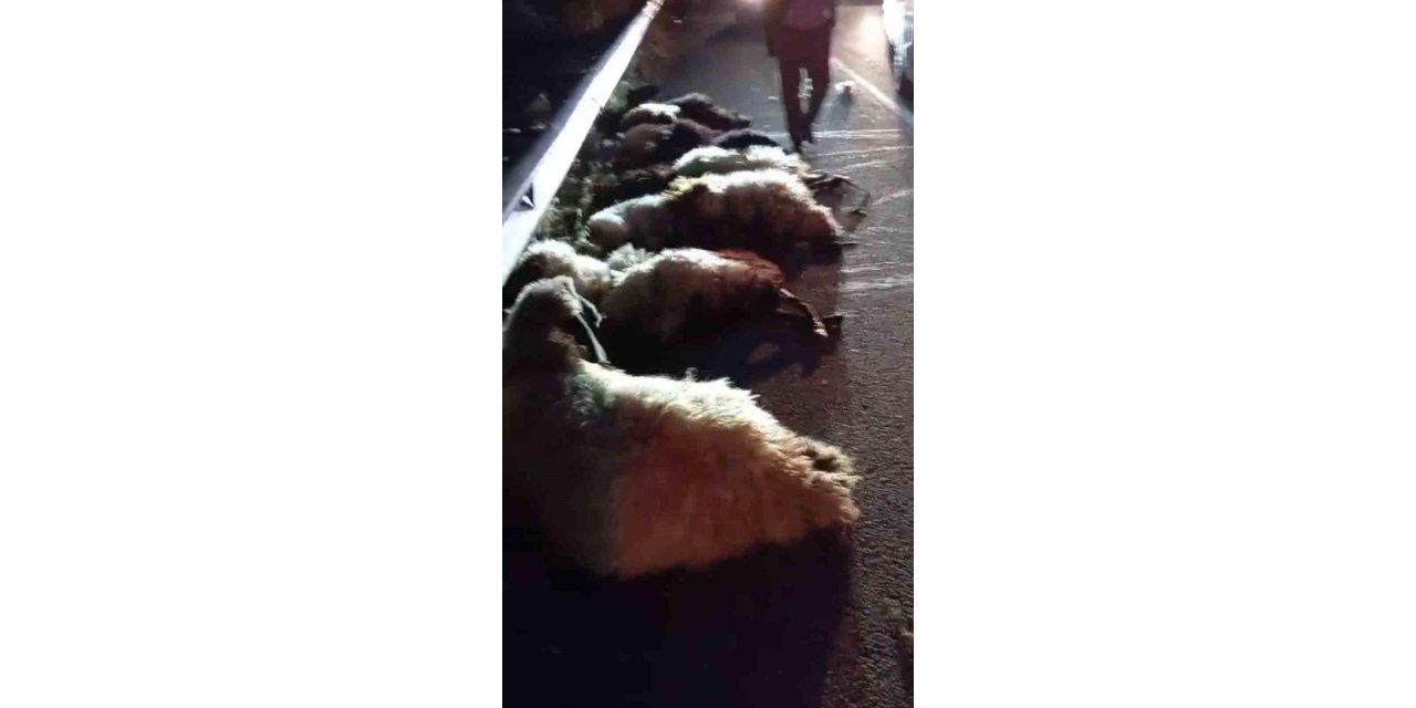 Otomobil sürüye çarptı, çok sayıda koyun telef oldu