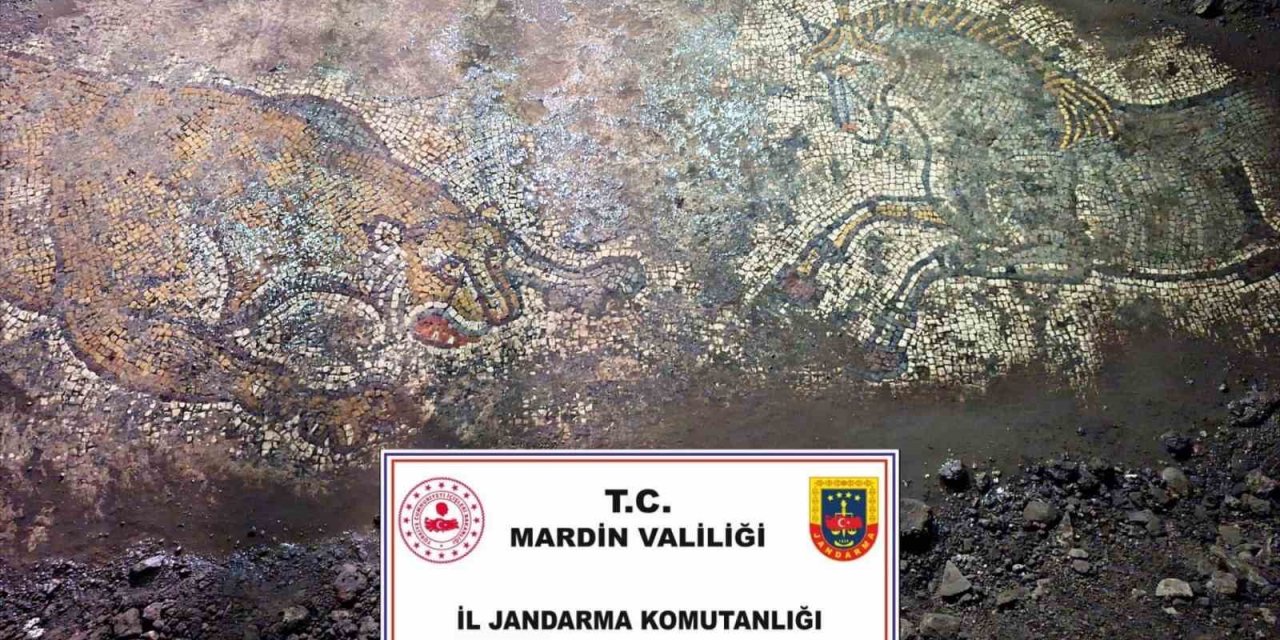 Mardin’de "Anadolu Mirası" operasyonunda 1500 yıllık mozaik yakalandı