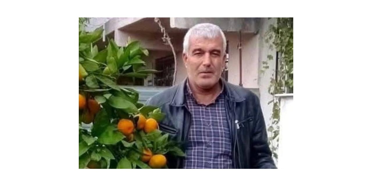 Kestiği ağaç üzerine devrilen bir kişi hayatını kaybetti