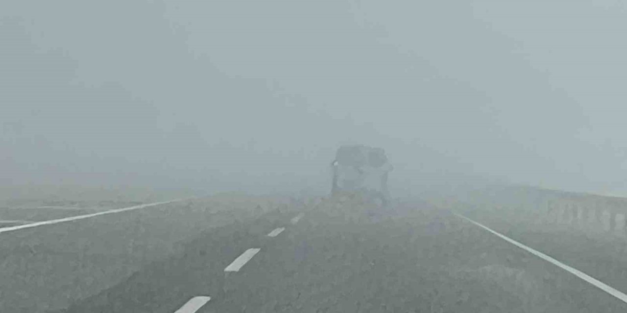 Kars-Gürcistan kara yolunda yoğun sis etkili oldu