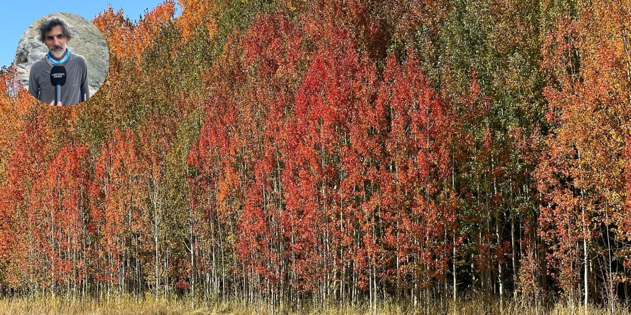 Yüksekova’da sonbaharın büyüleyici renkleri doğaseverleri çekiyor