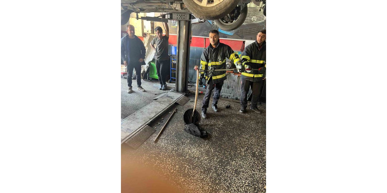 Batman’da otomobilin motoruna giren yılan çıkartıldı