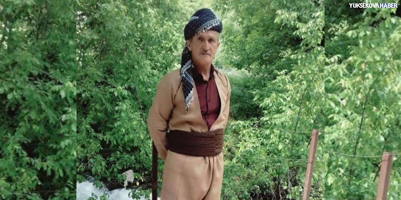 Şemdinli’de ceviz ağacından düşen 61 yaşındaki Sevmiş kurtarılamadı