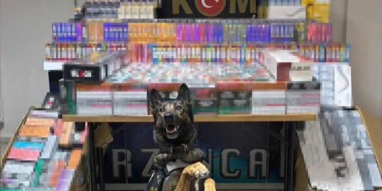 Erzincan’da dedektör köpeği, 11 bin 600 kaçak ürünü yakalattı