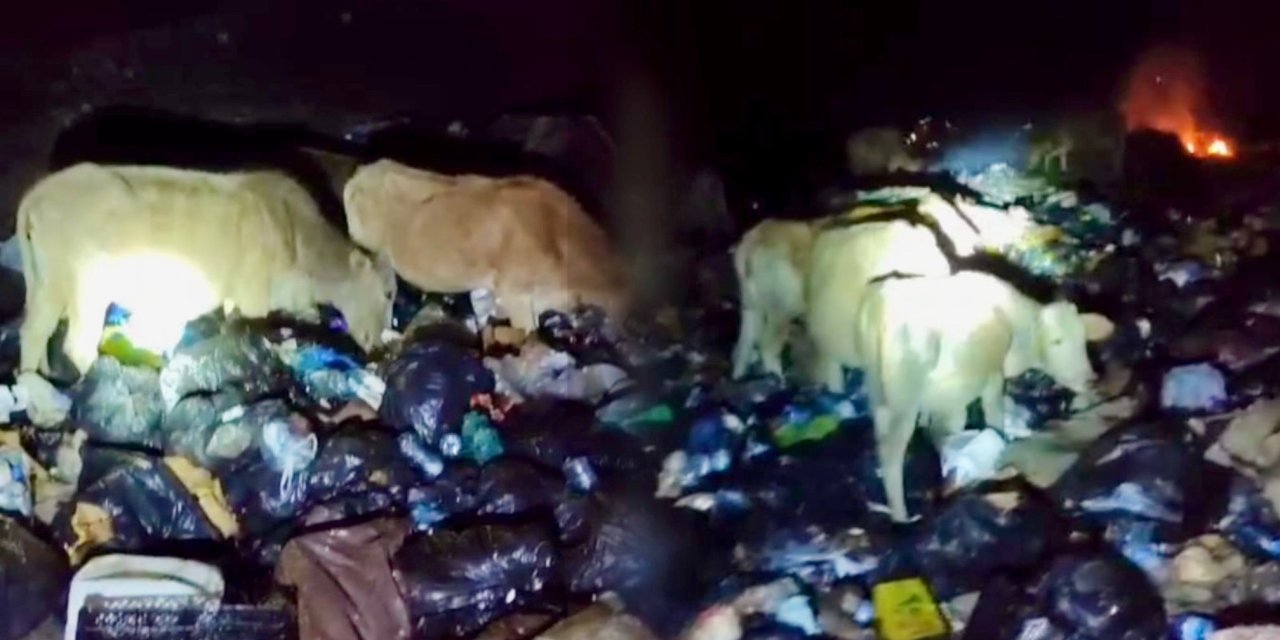 Derecik’in Başaklı Köyü’nde çöplük sorunu: “Hayvanlarımız çöplükte otlanıyor, hastalanıp ölüyor”