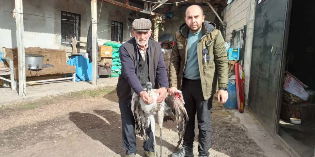 Ardahan’da yaralı bulunan turna tedavi altına alındı