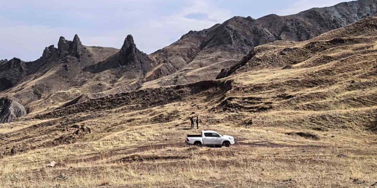 Iğdır’da yaban hayatı korunuyor