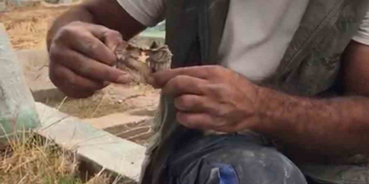 Mezarlıkta kefenlenmiş oyuncak bebek buldu