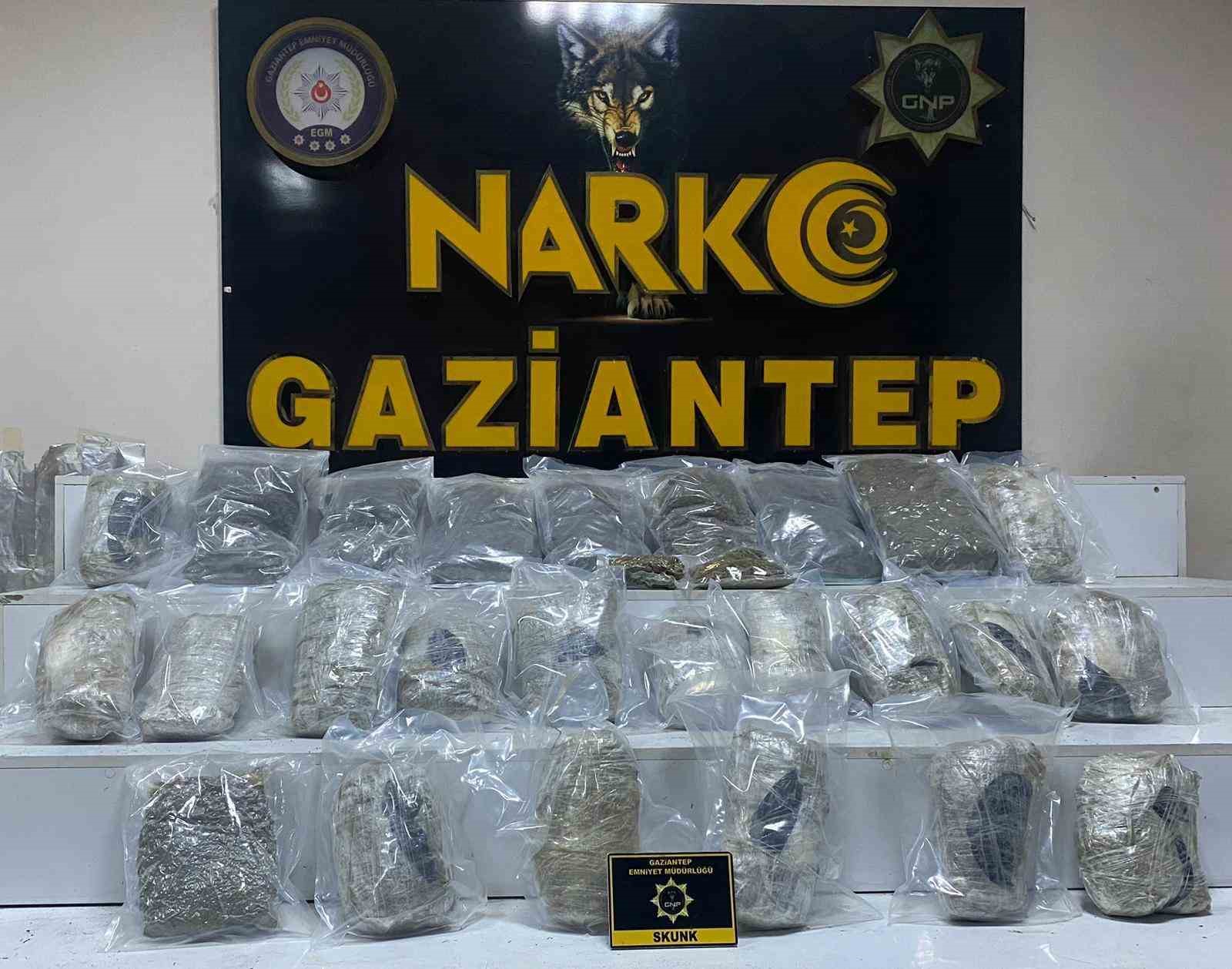 Antep’te 13 kilo skunk yakalandı