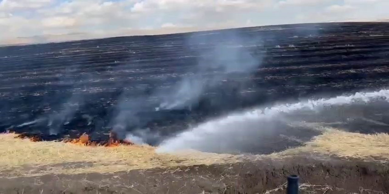 Diyarbakır’da anız yangını çıktı