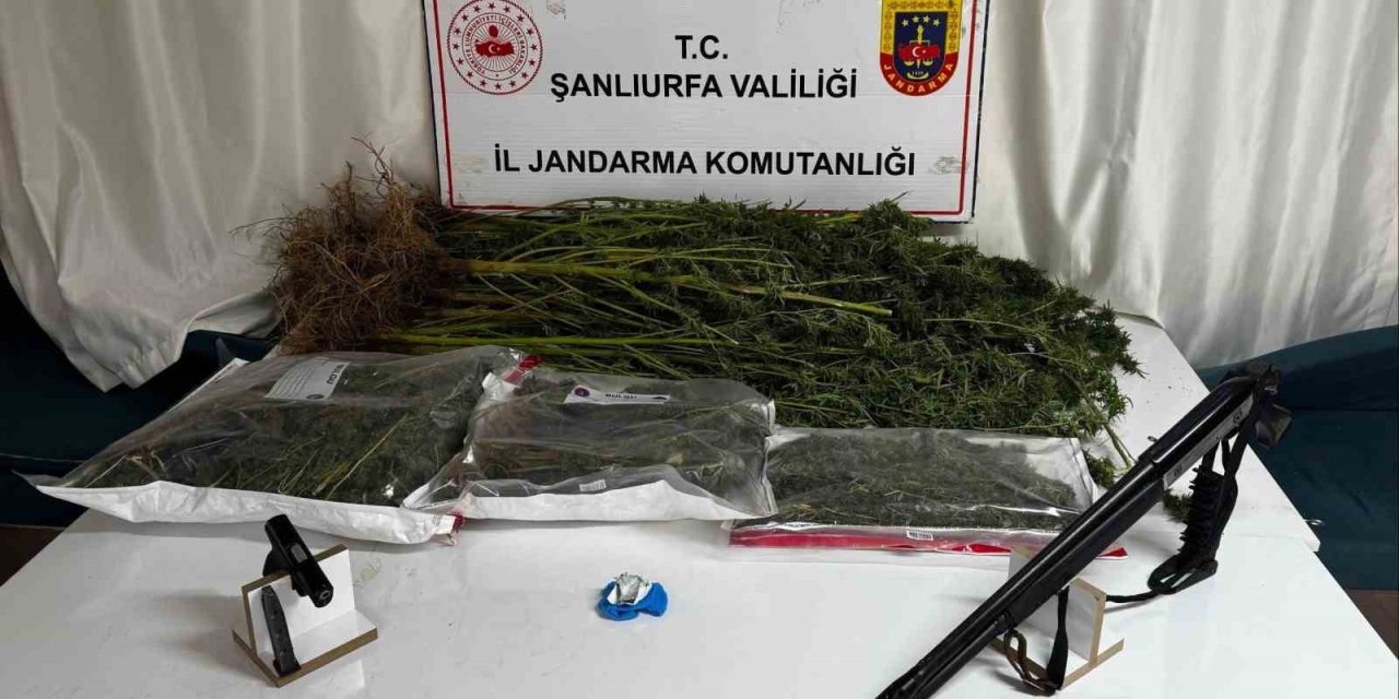 Urfa’da uyuşturucu operasyonunda 1 gözaltı