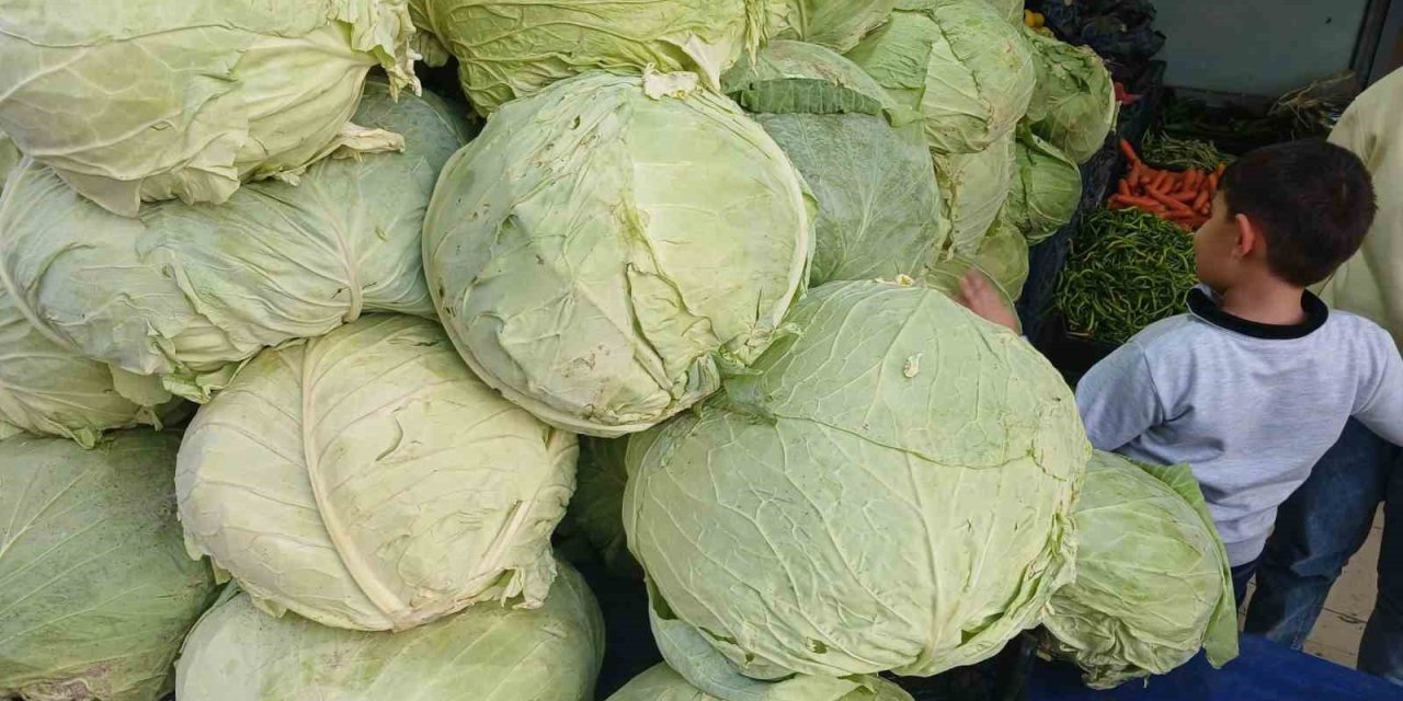 Muş lahanaları Diyarbakır’daki tezgahlarda yerini aldı