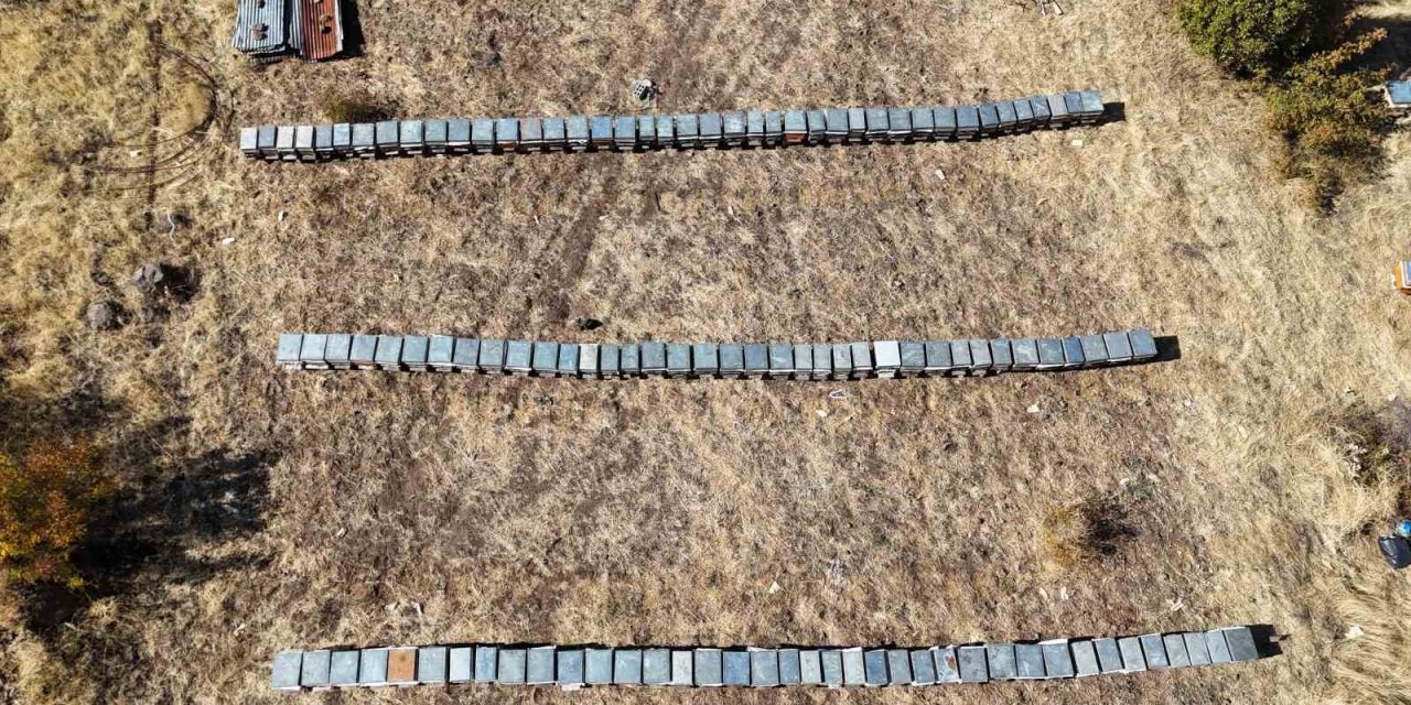 Tunceli'de iklim değişikliği arıları etkiledi