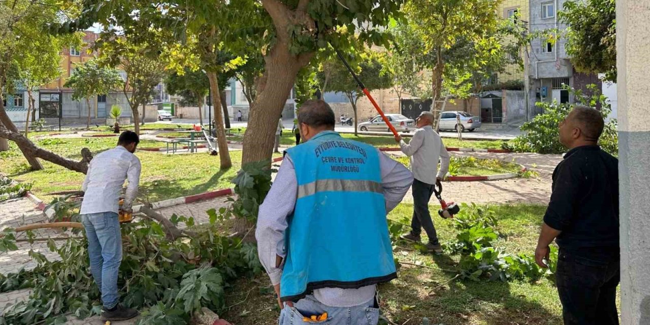 Şanlıurfa Eyyübiye’deki parklarda bakım ve yenileme çalışması
