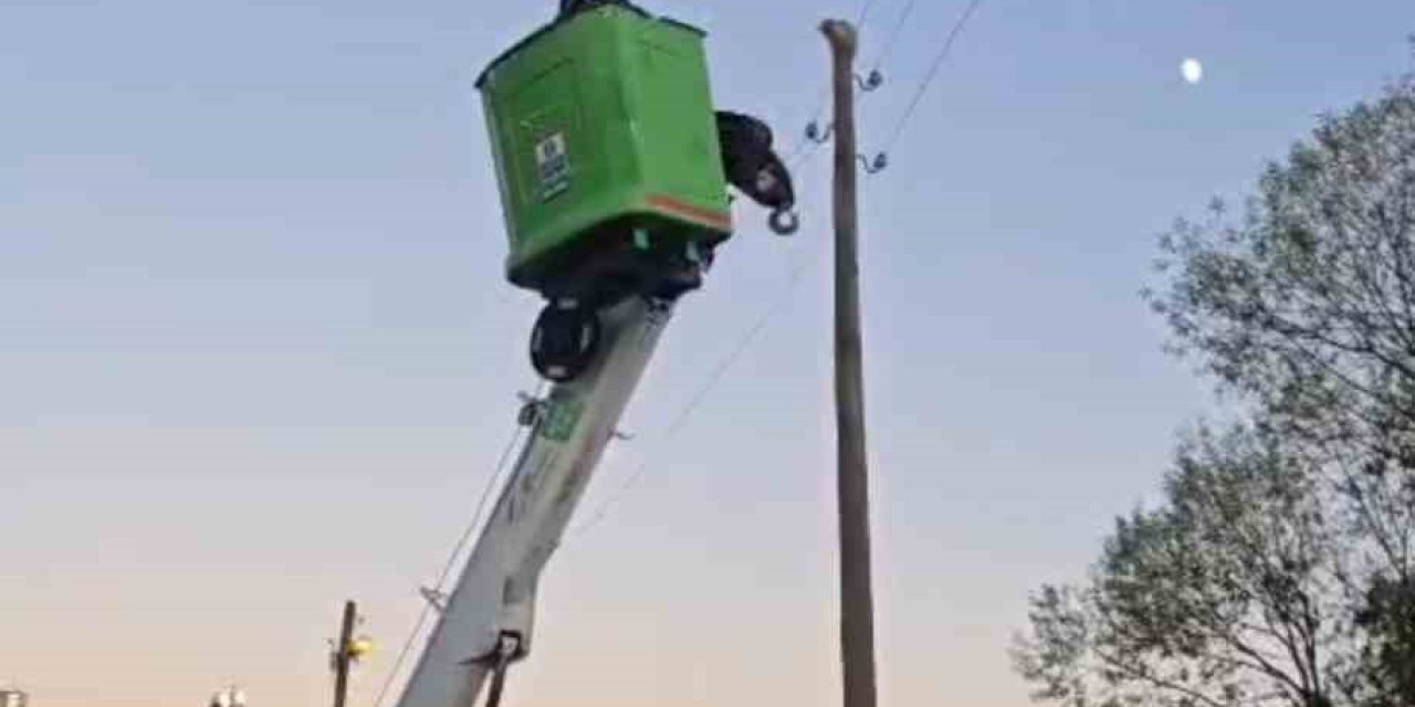 Bingöl'de elektrik direğinde mahsur kalan kediyi ekipler kurtardı