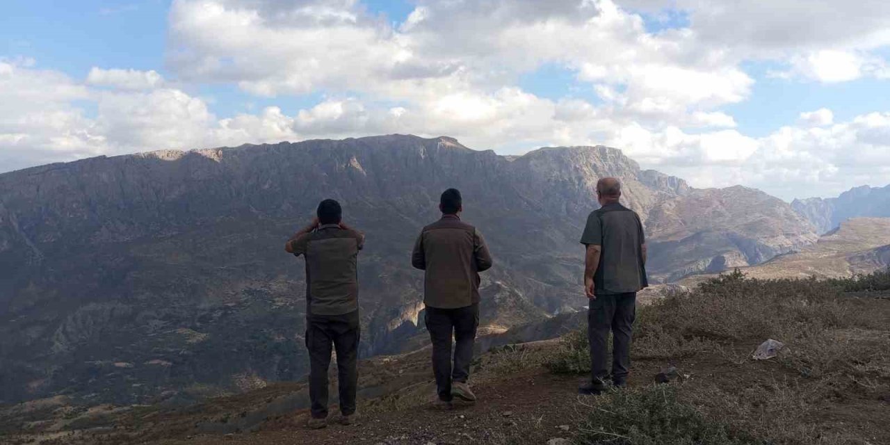 Van’da kafes avcısına 29 bin 140 lira  caza