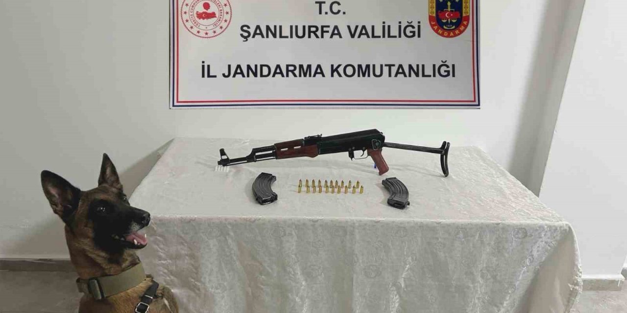 Urfa’da ruhsatsız silah operasyonu