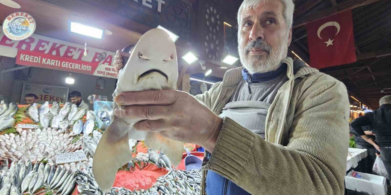 Elazığ’da satışa çıkarılan köpek balığı ilgi odağı oldu