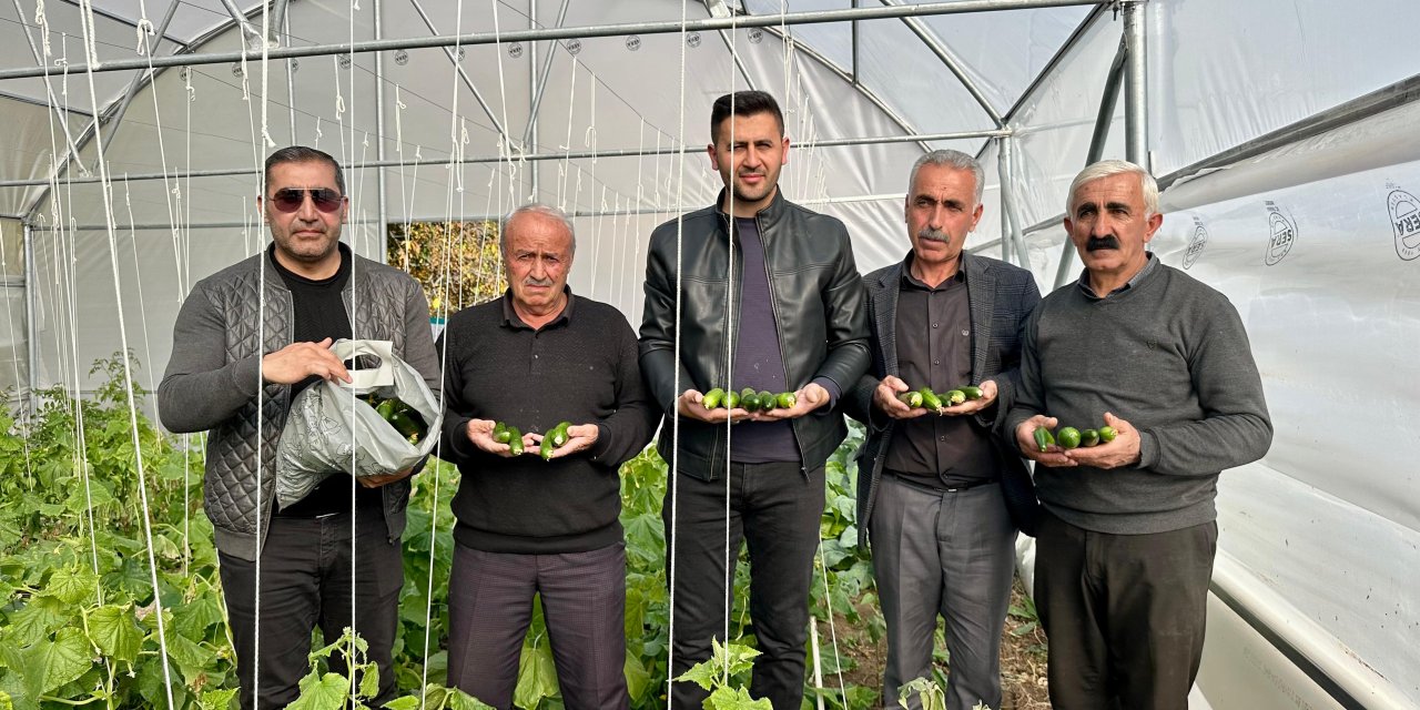 Yüksekova'da seracılık gelişiyor: 20 yeni sera kuruldu