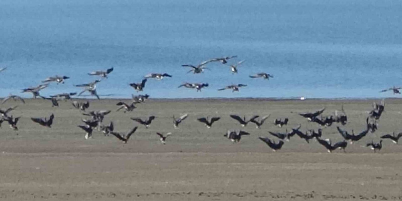 Zorlu göçün durağı Erçek Gölü