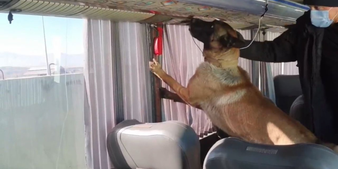 Otobüs bagajında skunk düzeneği: 8 kilo zehir yakalandı