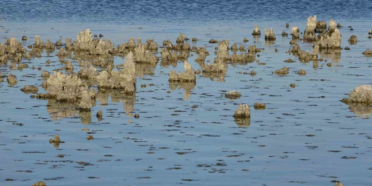 Erçek Gölü’nde su çekilince mikrobiyalitler ortaya çıktı